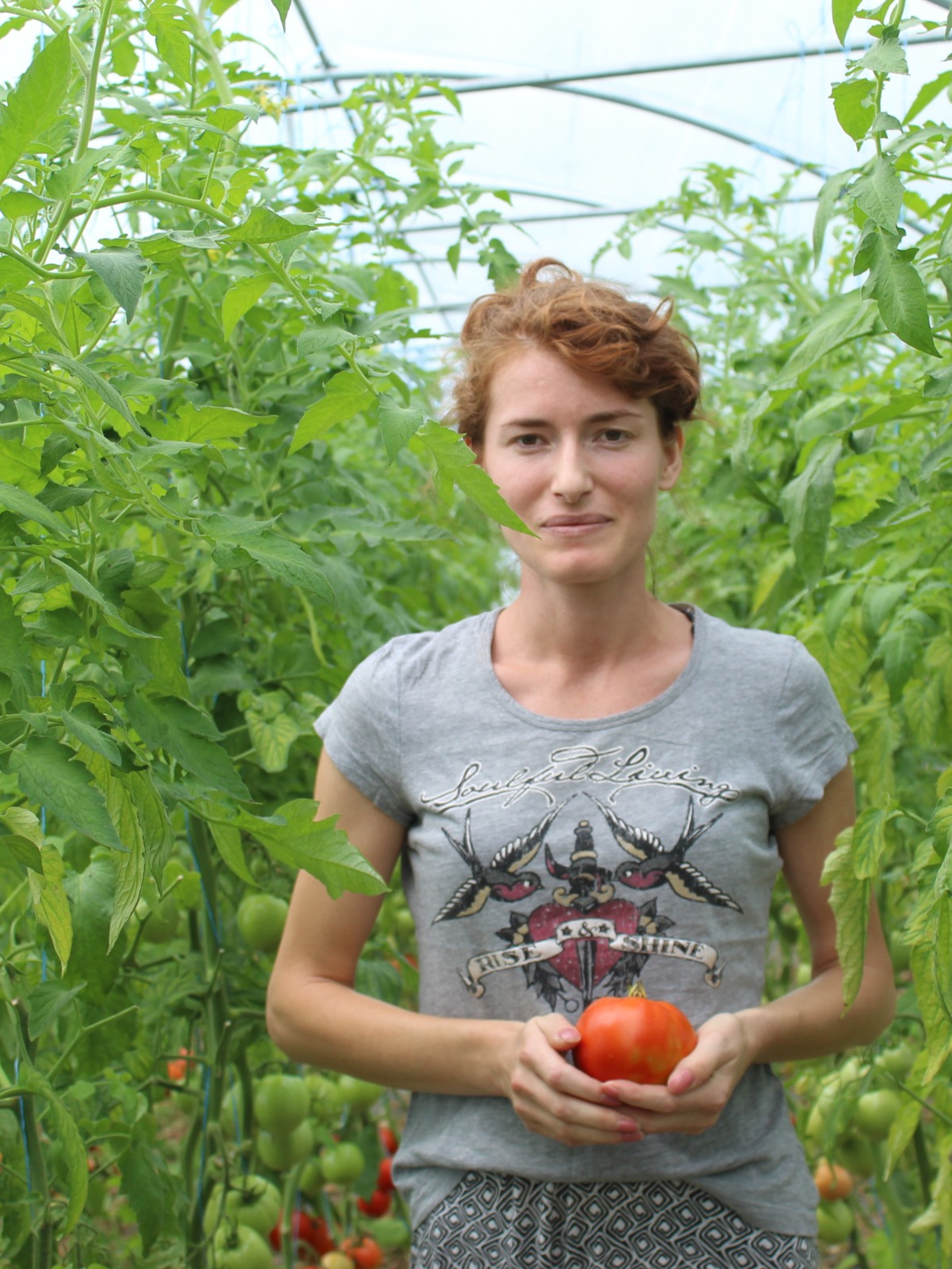 Junge Frau in Kosovo steht in einem Tomaten-Gewächshaus und hält eine Tomate in der Hand.